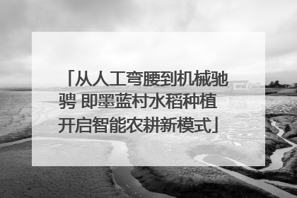 从人工弯腰到机械驰骋 即墨蓝村水稻种植开启智能农耕新模式
