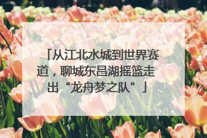 从江北水城到世界赛道，聊城东昌湖摇篮走出“龙舟梦之队”