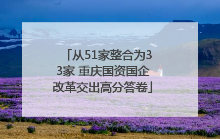 从51家整合为33家 重庆国资国企改革交出高分答卷