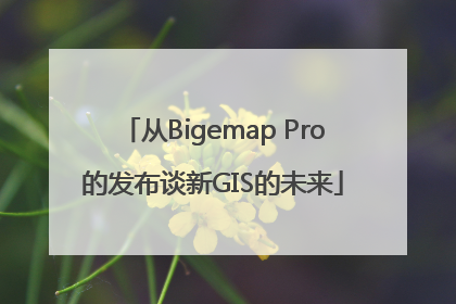 从Bigemap Pro的发布谈新GIS的未来