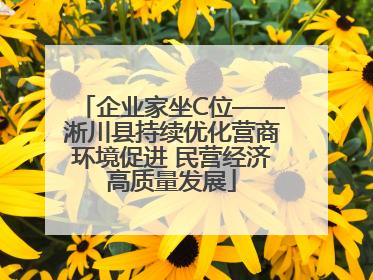 企业家坐C位——淅川县持续优化营商环境促进 民营经济高质量发展