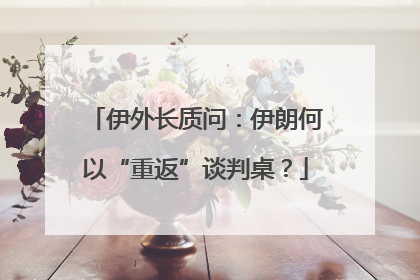 伊外长质问：伊朗何以“重返”谈判桌？