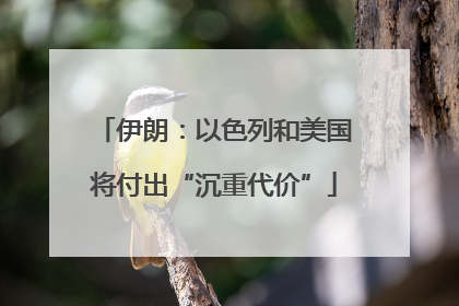 伊朗：以色列和美国将付出“沉重代价”