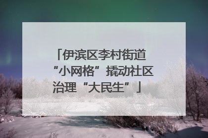 伊滨区李村街道 “小网格”撬动社区治理“大民生”