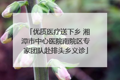 优质医疗送下乡 湘潭市中心医院南院区专家团队赴排头乡义诊