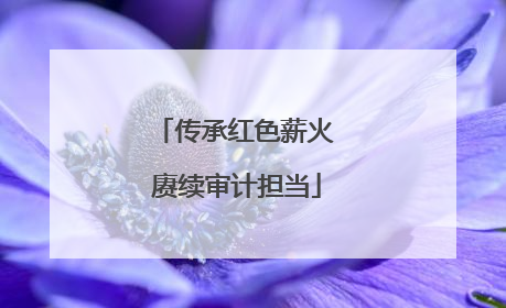 传承红色薪火 赓续审计担当
