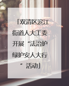 双清区滨江街道人大工委开展“法治护绿护安人大行”活动