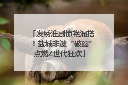 发绣淮剧惊艳混搭！盐城非遗“破圈”点燃Z世代狂欢
