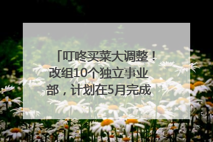 叮咚买菜大调整！改组10个独立事业部，计划在5月完成App端全面改版