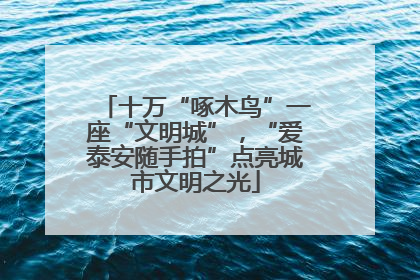 十万“啄木鸟”一座“文明城”，“爱泰安随手拍”点亮城市文明之光