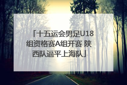 十五运会男足U18组资格赛A组开赛 陕西队逼平上海队