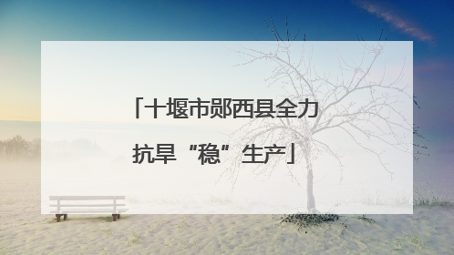 十堰市郧西县全力抗旱“稳”生产