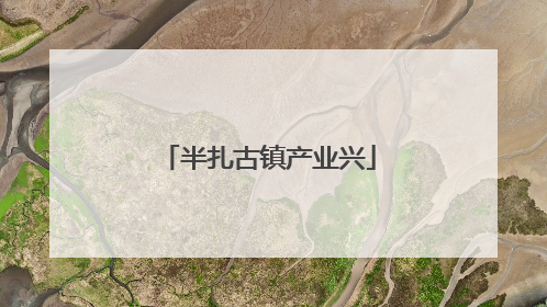 半扎古镇产业兴
