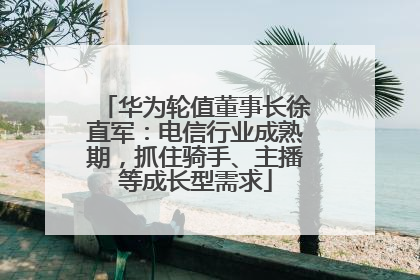 华为轮值董事长徐直军：电信行业成熟期，抓住骑手、主播等成长型需求