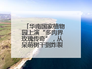 华南国家植物园上演“多肉界玫瑰传奇”，从呆萌树干到炸裂种子全是戏！