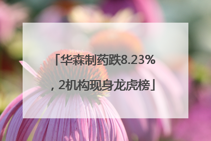 华森制药跌8.23%，2机构现身龙虎榜