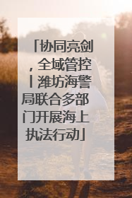 协同亮剑，全域管控丨潍坊海警局联合多部门开展海上执法行动