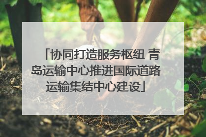 协同打造服务枢纽 青岛运输中心推进国际道路运输集结中心建设