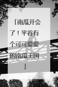 南瓜开会了！平谷有个可可爱爱的南瓜王国