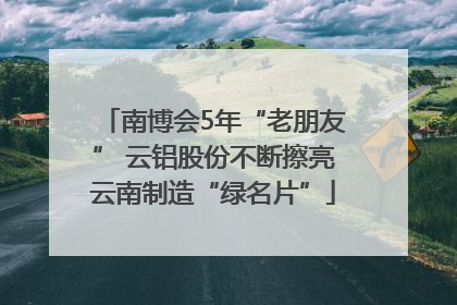 南博会5年“老朋友” 云铝股份不断擦亮云南制造“绿名片”