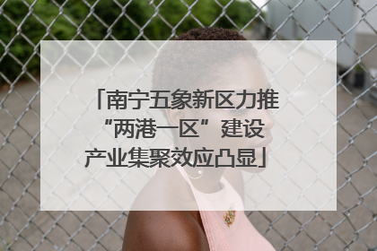 南宁五象新区力推“两港一区”建设 产业集聚效应凸显