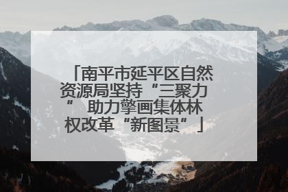 南平市延平区自然资源局坚持“三聚力” 助力擎画集体林权改革“新图景”