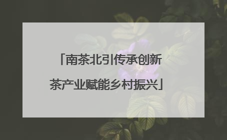 南茶北引传承创新 茶产业赋能乡村振兴