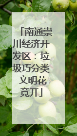 南通崇川经济开发区：垃圾巧分类 文明花竞开