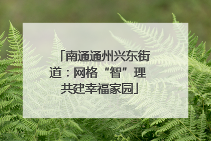 南通通州兴东街道：网格“智”理 共建幸福家园