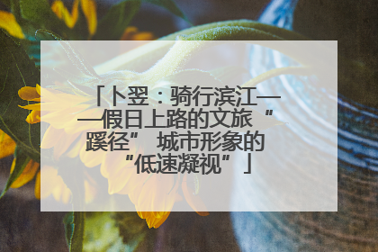 卜翌：骑行滨江——假日上路的文旅“蹊径” 城市形象的“低速凝视”