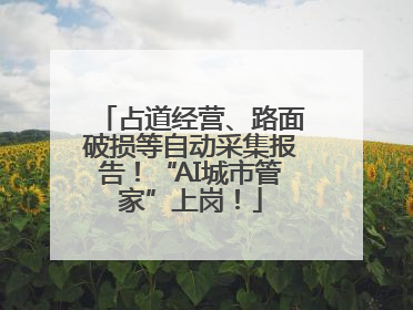 占道经营、路面破损等自动采集报告！“AI城市管家”上岗！