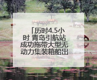 历时4.5小时 青岛引航站成功拖带大型无动力集装箱船出港抛锚