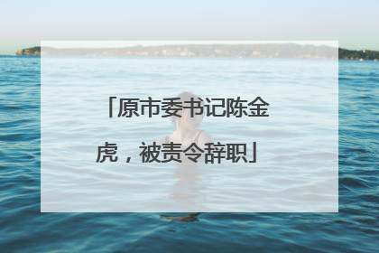 原市委书记陈金虎，被责令辞职