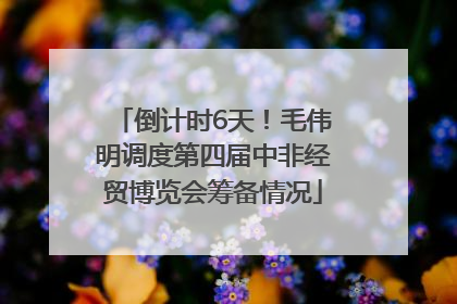 倒计时6天！毛伟明调度第四届中非经贸博览会筹备情况
