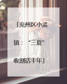 兖州区小孟镇：“三夏”收割话丰年