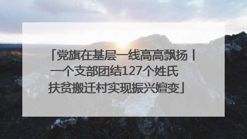 党旗在基层一线高高飘扬丨一个支部团结127个姓氏 扶贫搬迁村实现振兴嬗变