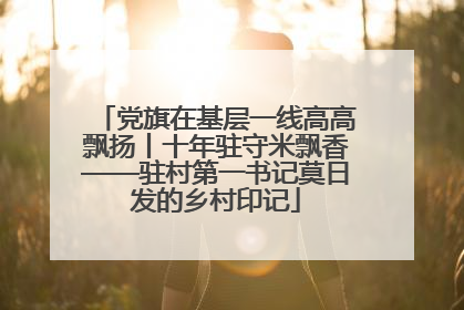 党旗在基层一线高高飘扬丨十年驻守米飘香——驻村第一书记莫日发的乡村印记