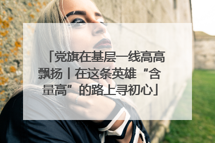党旗在基层一线高高飘扬丨在这条英雄“含量高”的路上寻初心