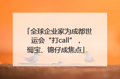 全球企业家为成都世运会“打call”，蜀宝、锦仔成焦点