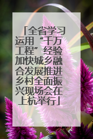 全省学习运用“千万工程”经验加快城乡融合发展推进乡村全面振兴现场会在上杭举行