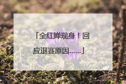 全红婵现身！回应退赛原因……