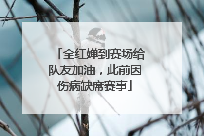 全红婵到赛场给队友加油，此前因伤病缺席赛事