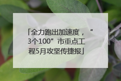 全力跑出加速度，“3个100”市重点工程5月攻坚传捷报