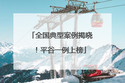 全国典型案例揭晓！平谷一例上榜