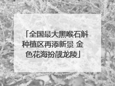 全国最大黑喉石斛种植区再添新景 金色花海扮靓龙陵