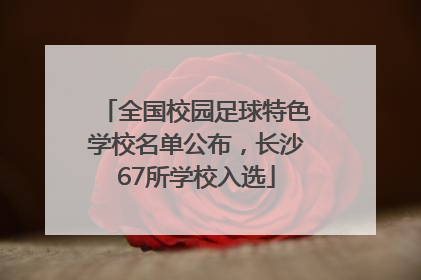 全国校园足球特色学校名单公布，长沙67所学校入选