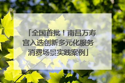 全国首批！南昌万寿宫入选创新多元化服务消费场景实践案例