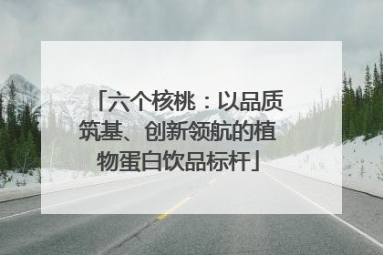 六个核桃：以品质筑基、创新领航的植物蛋白饮品标杆