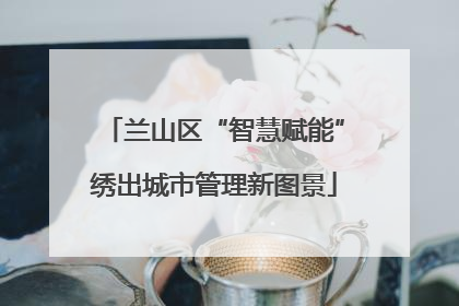 兰山区“智慧赋能”绣出城市管理新图景