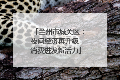 兰州市城关区：夜间经济再升级 消费迸发新活力